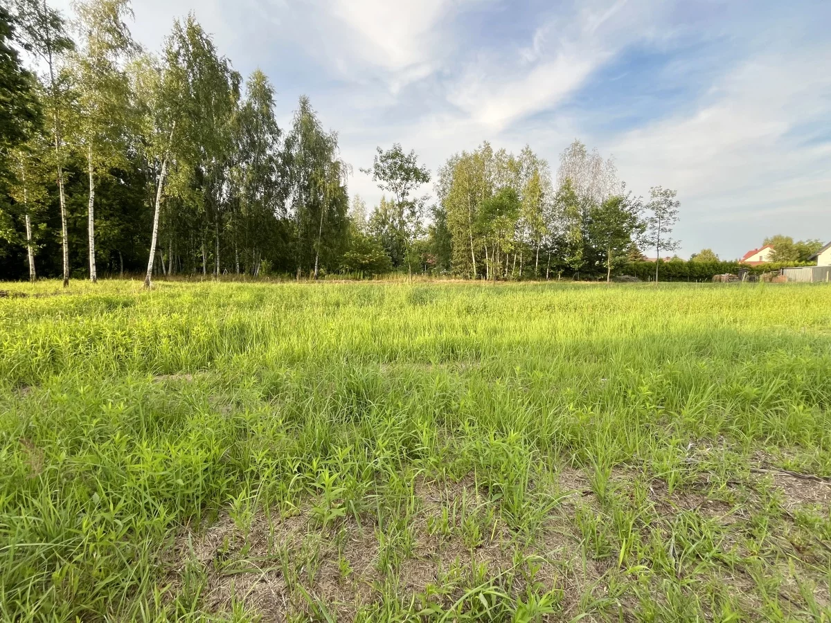 Apartamenty 833428 Jasionka