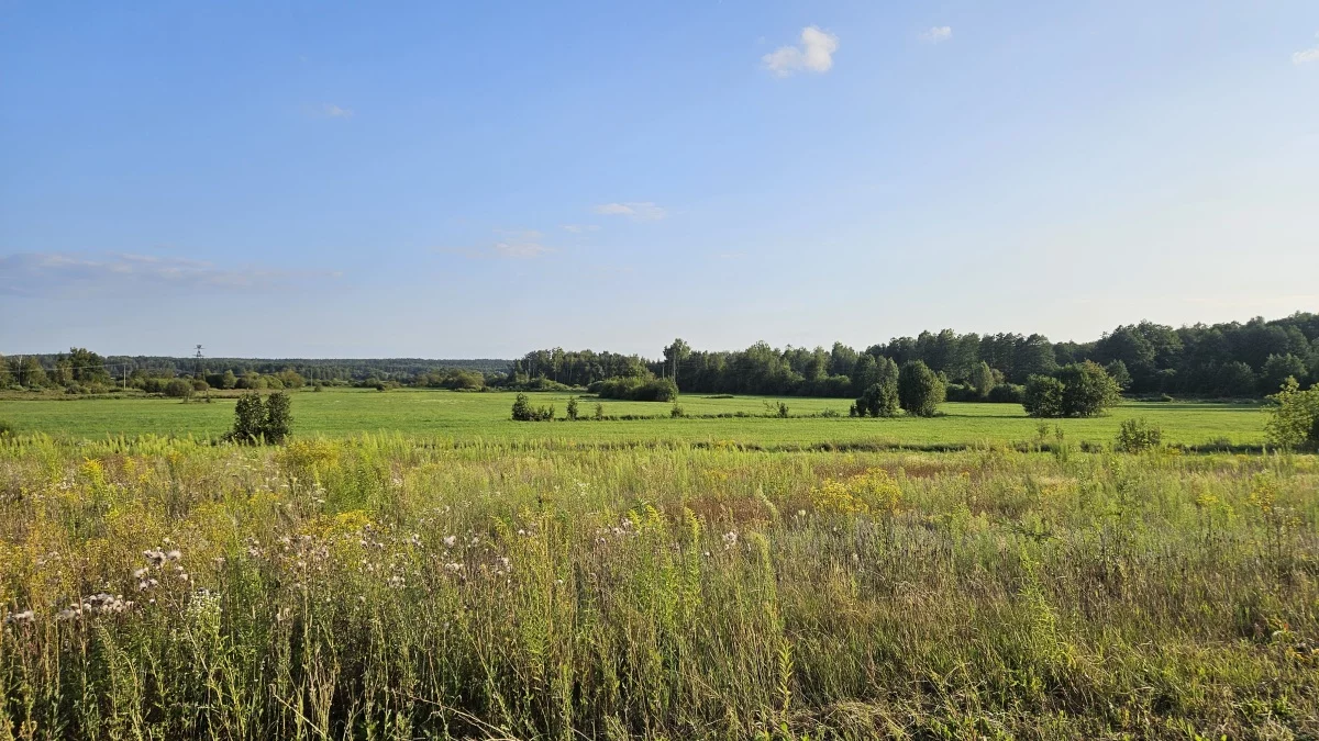 Apartamenty 834154 Wasilków Jurowce