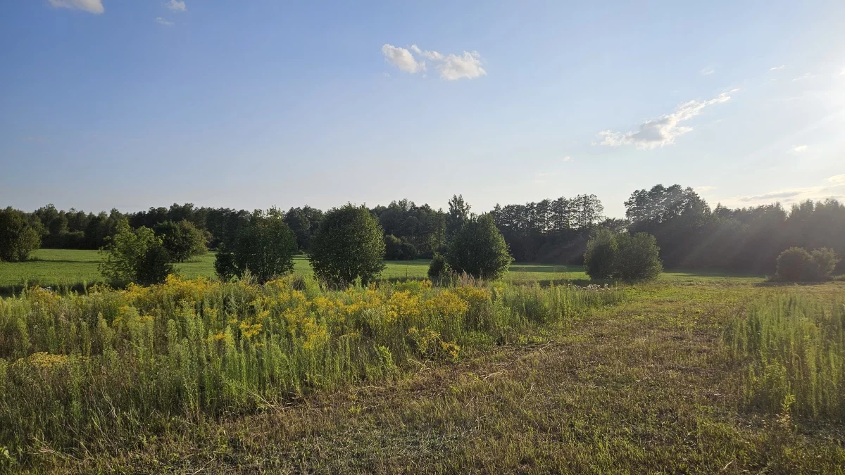 Działka 930,00 m², oferta nr , 834154, Wasilków, Jurowce