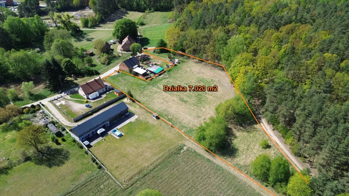 832176 - zdjęcie nr 4