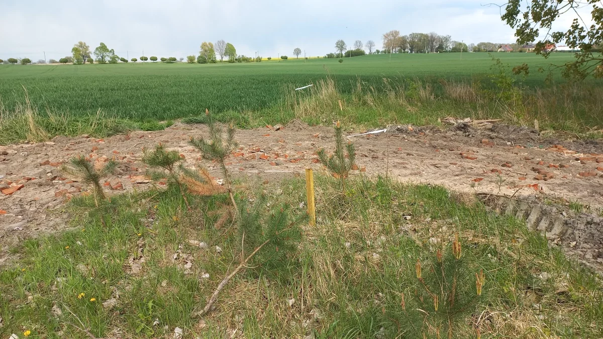 Działka 1 040,00 m², oferta nr , 829956, Kicko