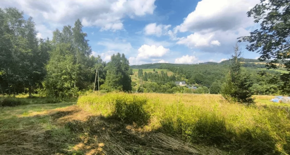 Działka 2 400,00 m², oferta nr , 834133, Kłodzko