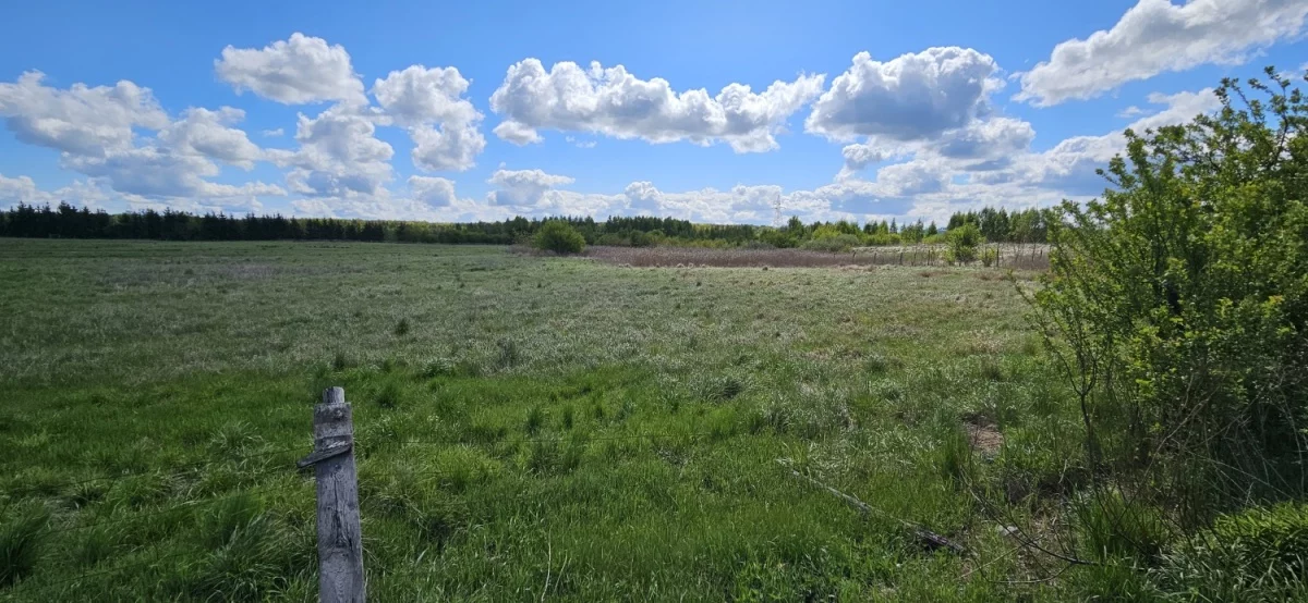 Działka 31 798,00 m², oferta nr , 832767, Starogard Gdański, Kochanki