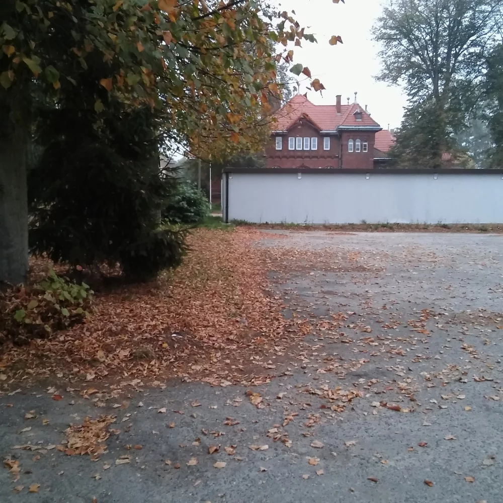 832405 - zdjęcie nr 3