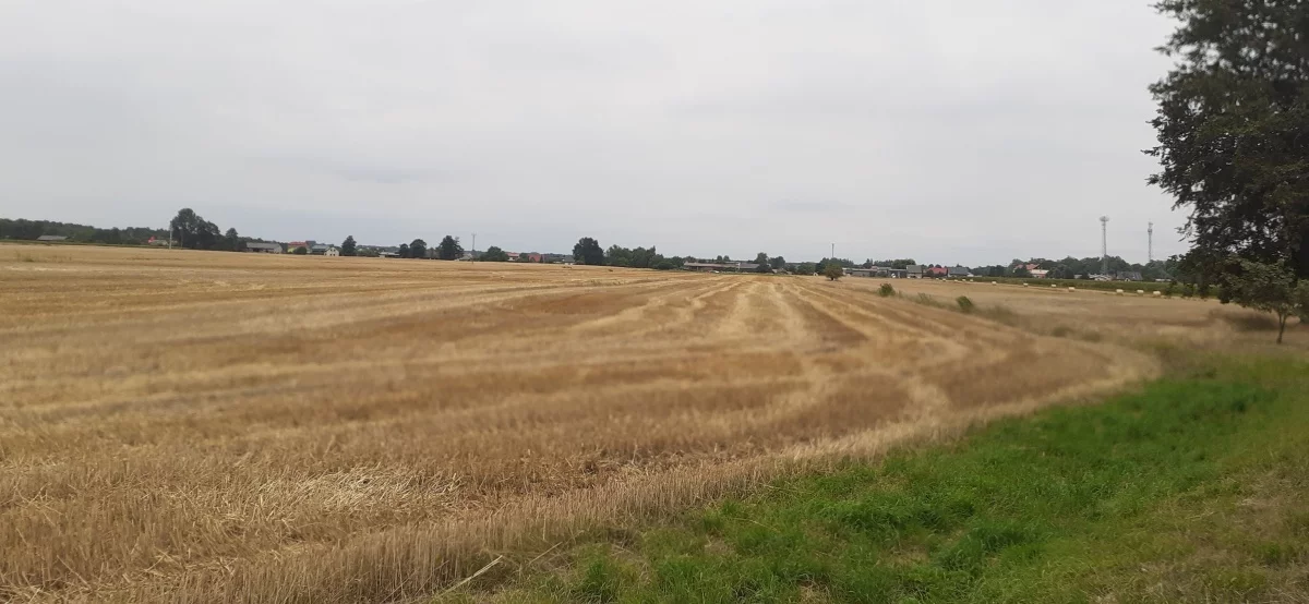 828835 - zdjęcie nr 0