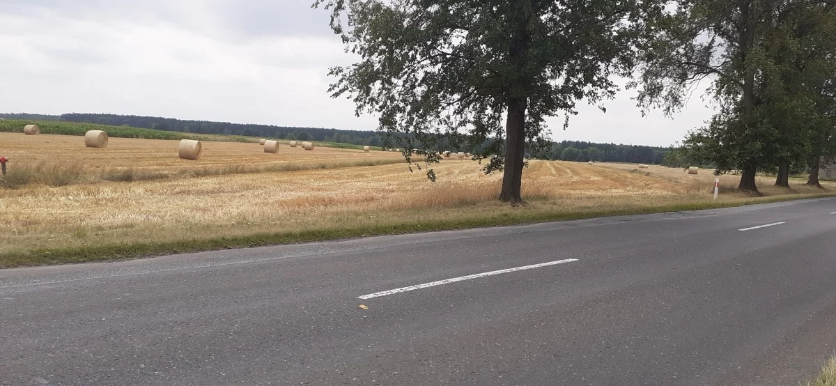 828835 - zdjęcie nr 1