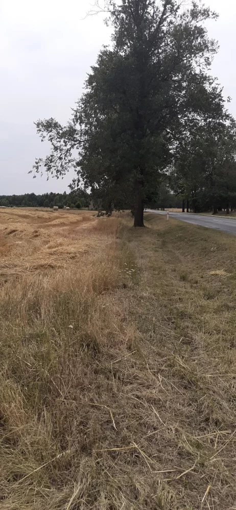 Działka 16 700,00 m², oferta nr , 828835, Lututów, Krucza