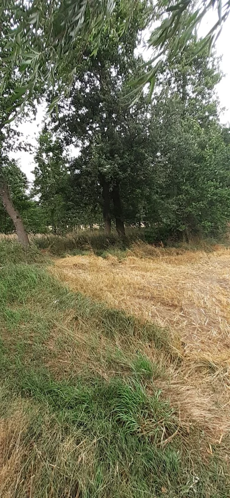 Działka 16 700,00 m², oferta nr , 828835, Lututów, Krucza