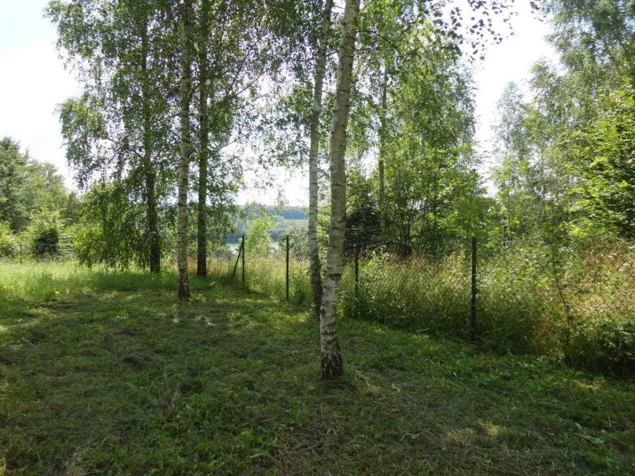 826331 - zdjęcie nr 2
