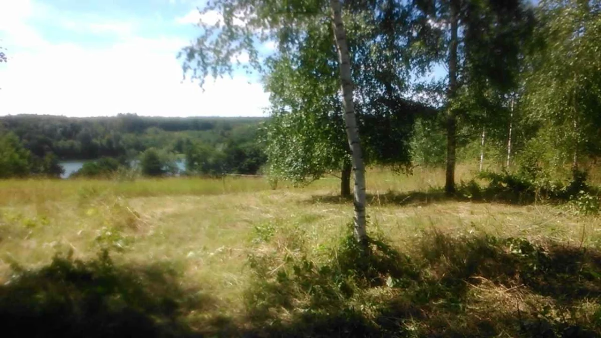 826331 - zdjęcie nr 3
