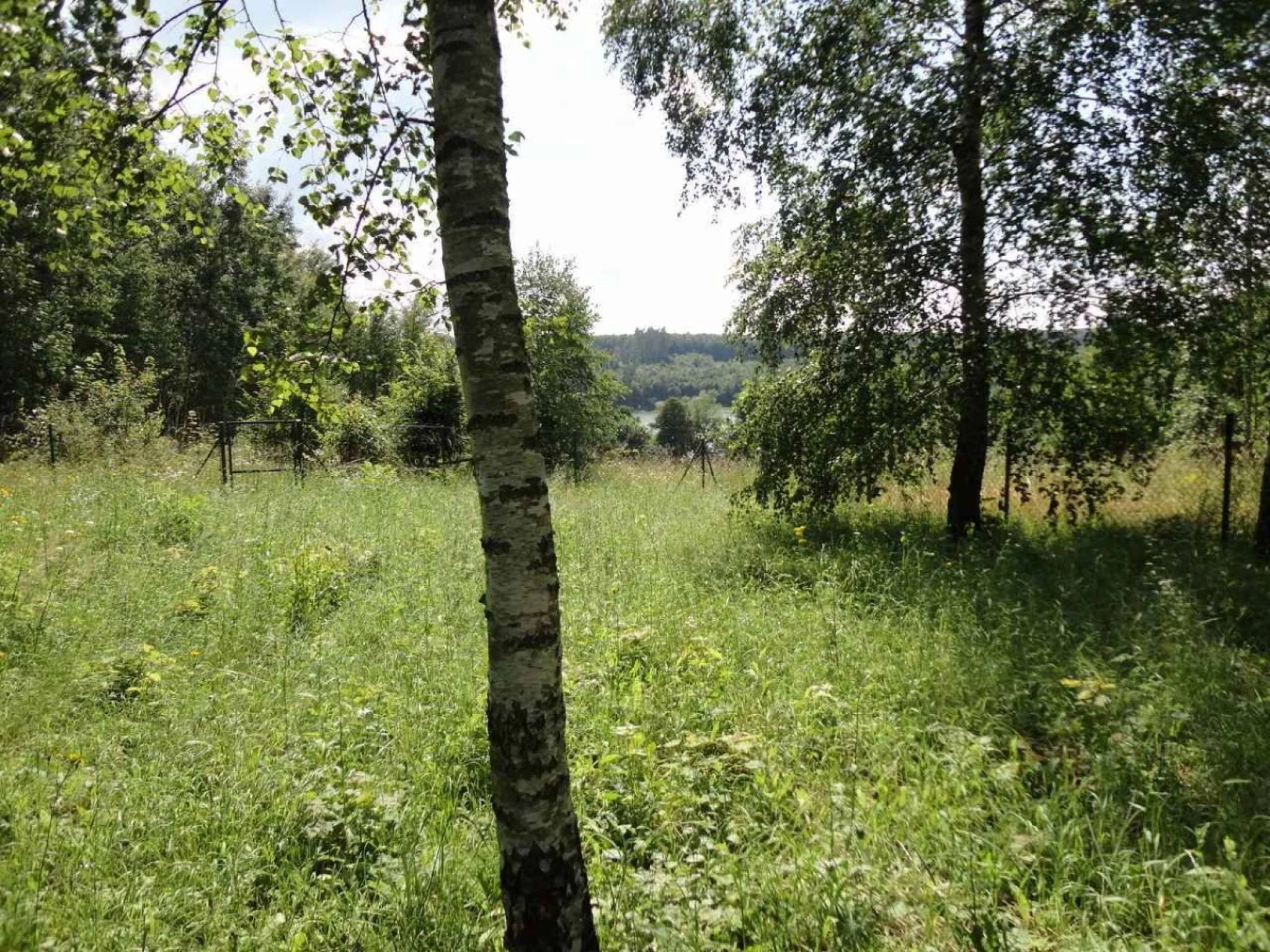 Działka 1 000,00 m², oferta nr , 826331, Mrągowo, Lembruk