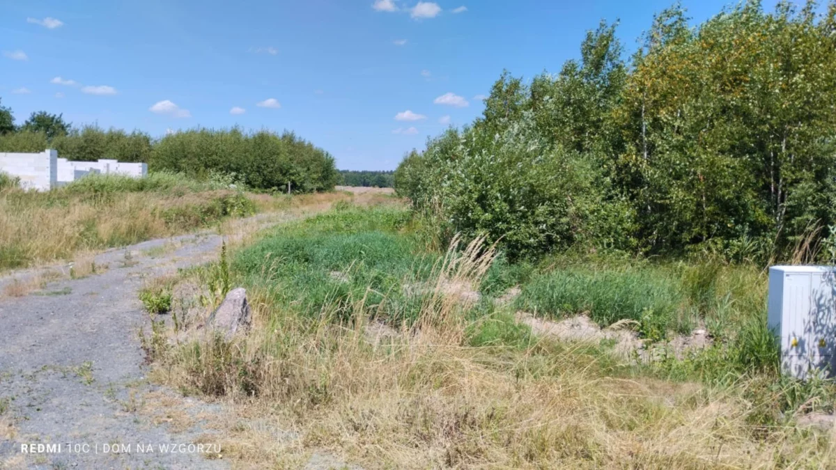 Działka 1 000,00 m², oferta nr , 833225, Nowogród Bobrzański, Leśna
