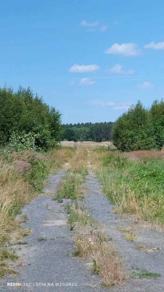 833225 - zdjęcie nr 2