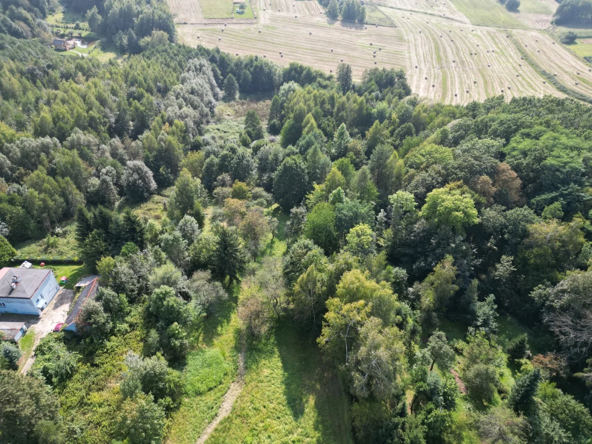 Działka 2 300,00 m², oferta nr , 834226, Boguchwała, Leśne Wzgórze