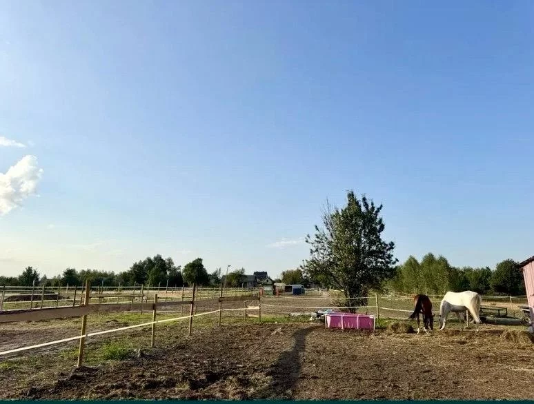 Działka 30 000,00 m², oferta nr , 833989, Marianów