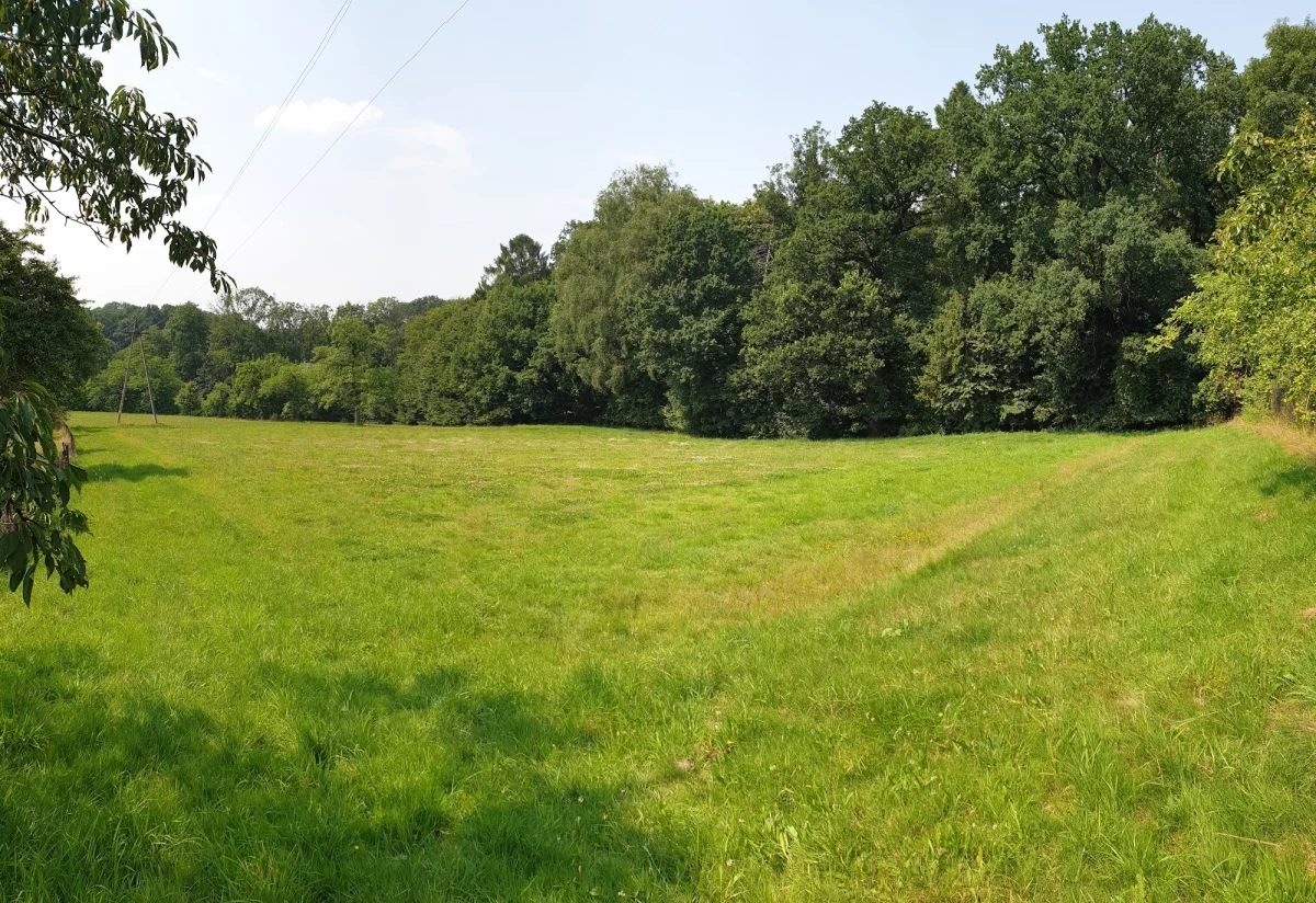 Apartamenty 833719 Mazańcowice