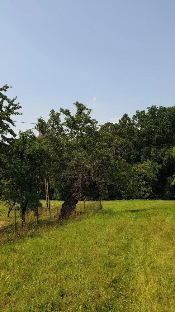 Działka 4 457,00 m², oferta nr , 833719, Mazańcowice