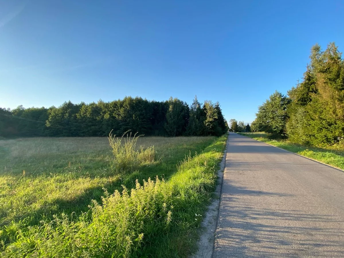 Działka 30 000,00 m², oferta nr , 834018, Nasielsk, Mazewo Dworskie B