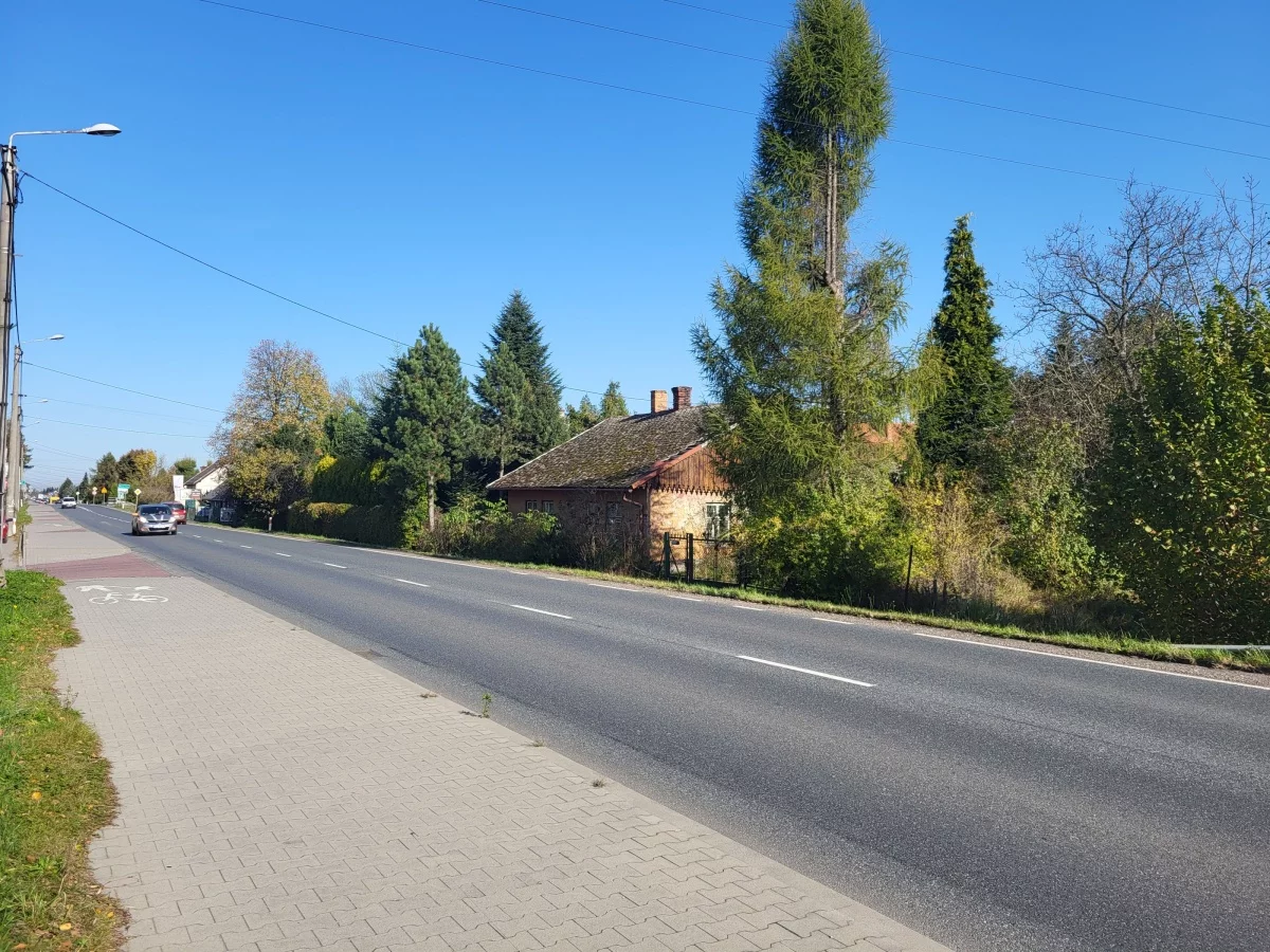 833593 - zdjęcie nr 3