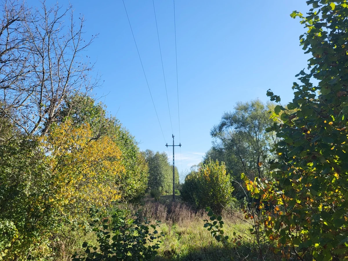 833593 - zdjęcie nr 4