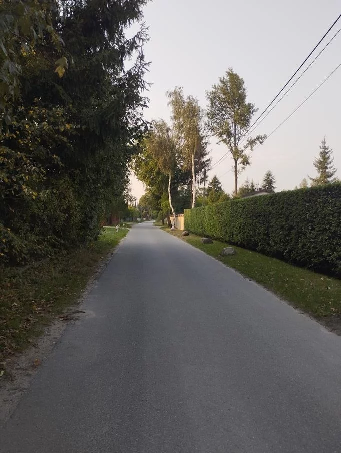 829784 - zdjęcie nr 2