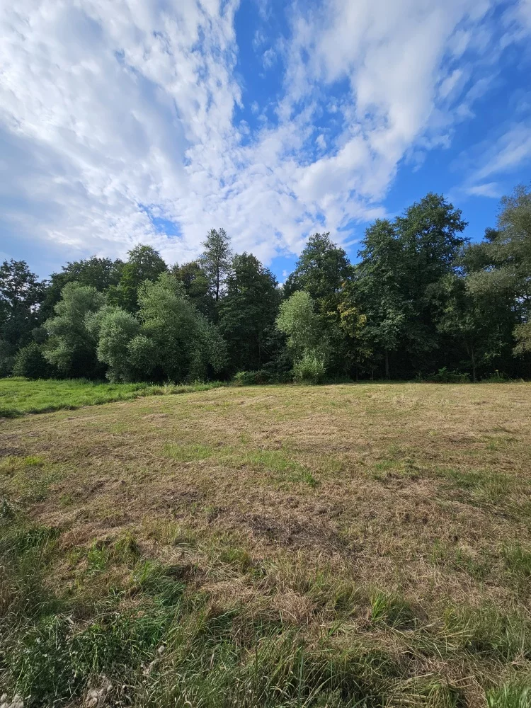 Apartamenty 833203 Siepraw Na Grobli