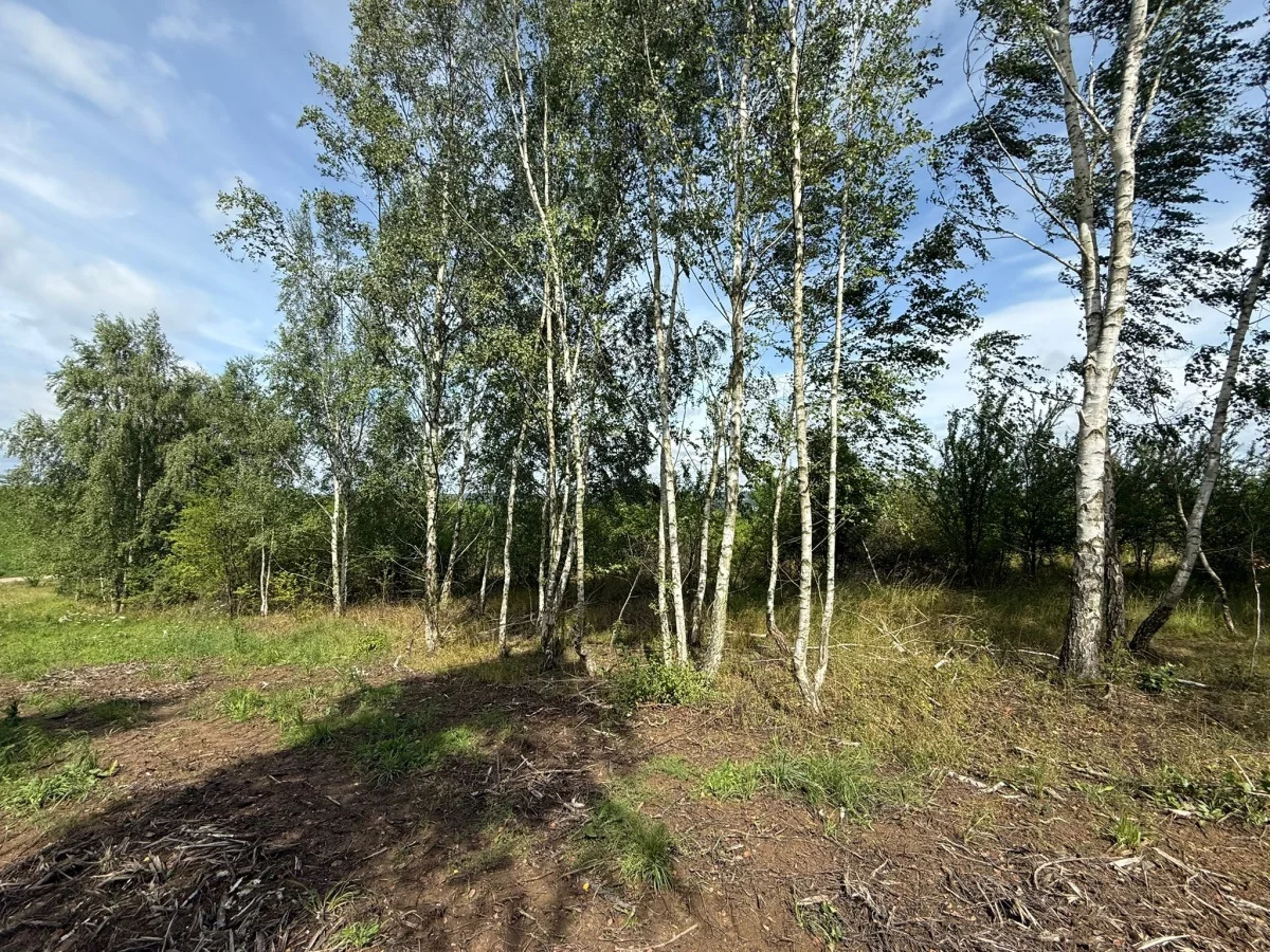 Apartamenty 833435 Gdańsk Nadrzeczna