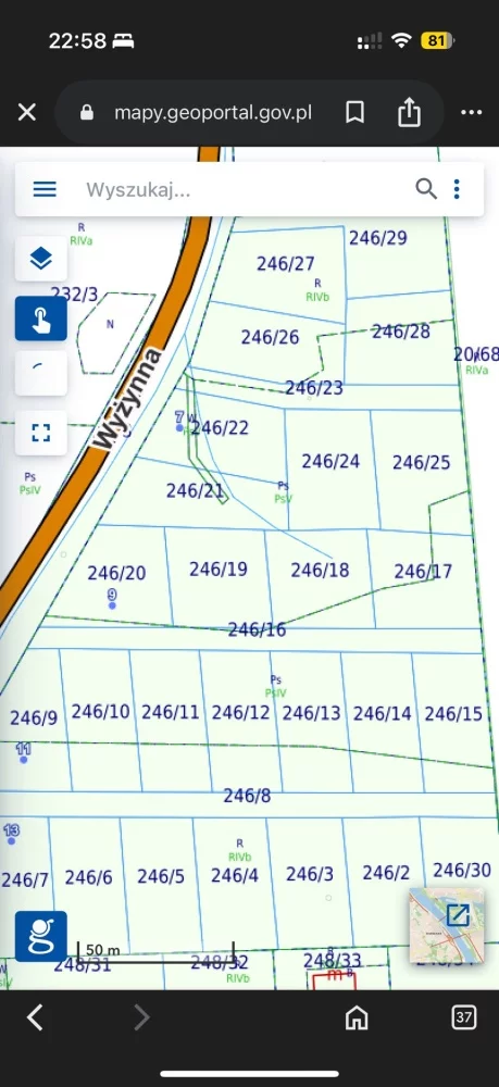 833435 - zdjęcie nr 2