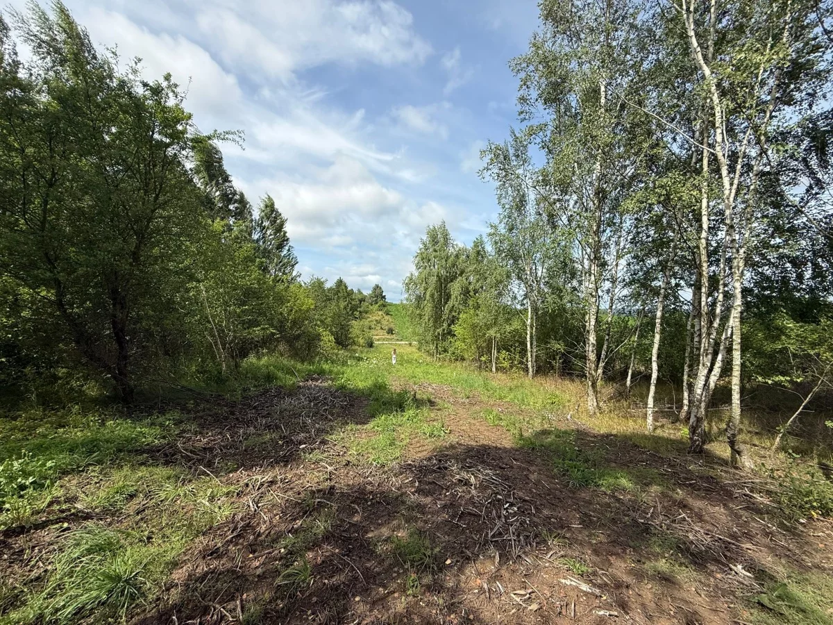 833435 - zdjęcie nr 3