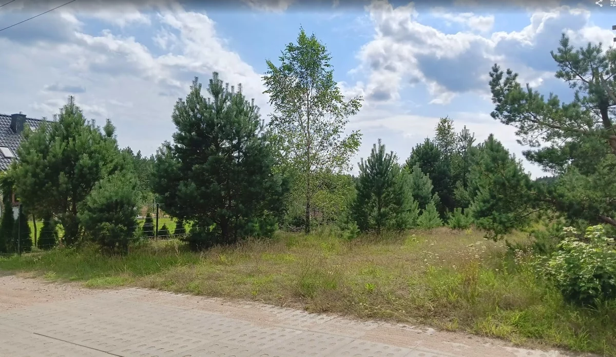 833058 - zdjęcie nr 0