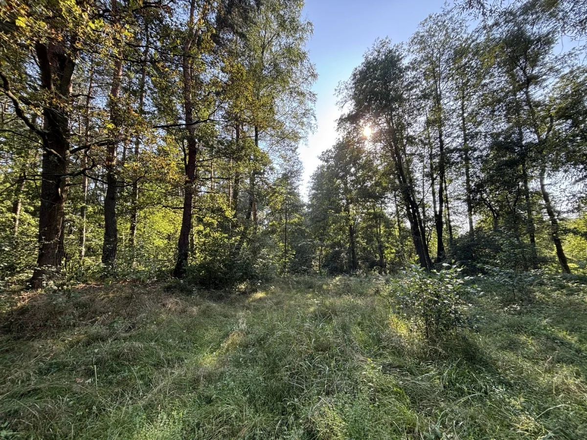 833643 - zdjęcie nr 4