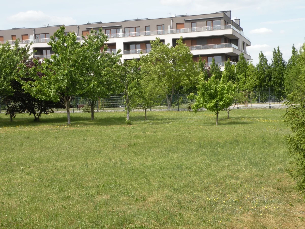 833275 - zdjęcie nr 4