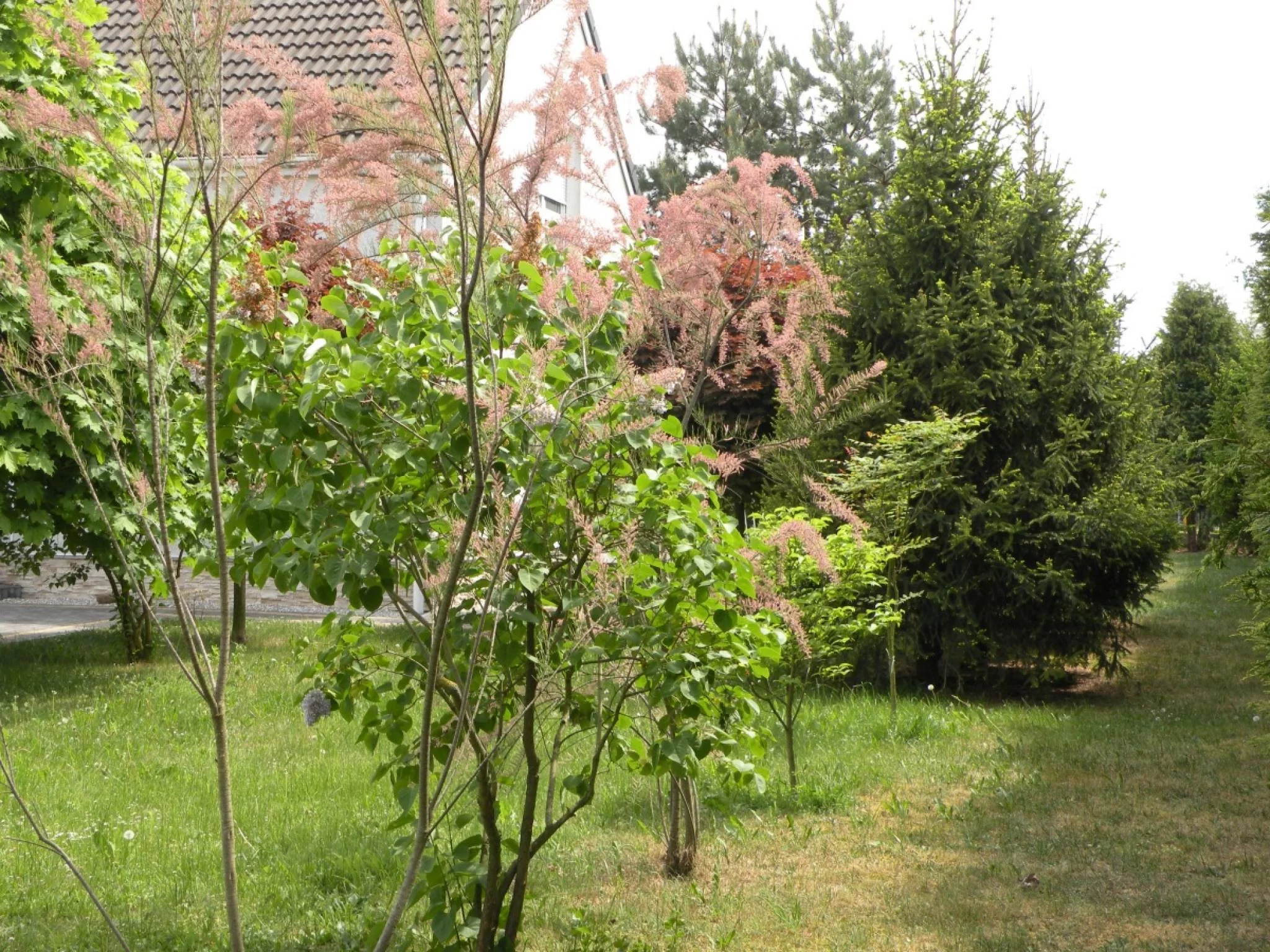 Działka 3 508,00 m², oferta nr , 833275, Opole, Półwieś