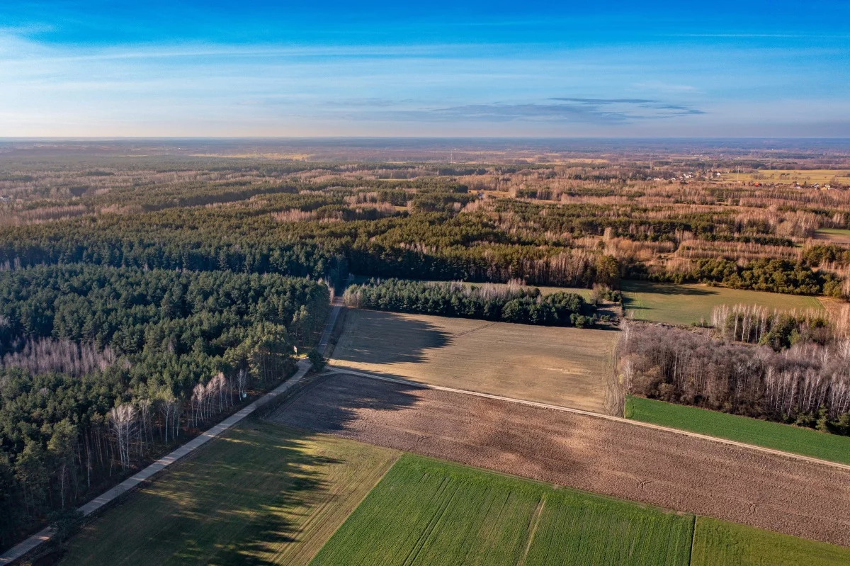 833280 - zdjęcie nr 2