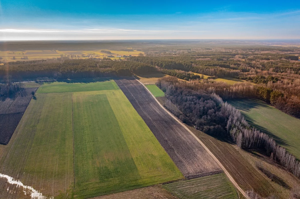 Działka 1 170,00 m², oferta nr , 833280, Ostrów Mazowiecka