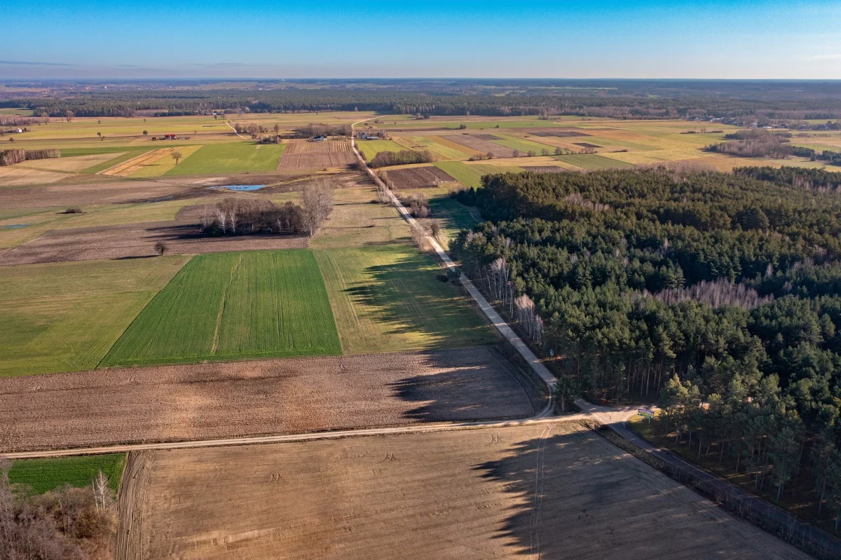 Działka 1 170,00 m², oferta nr , 833280, Ostrów Mazowiecka