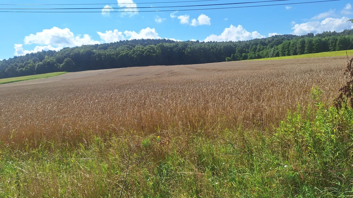 Działka 26 412,00 m², oferta nr , 833598, Czułówek, Oświęcimska
