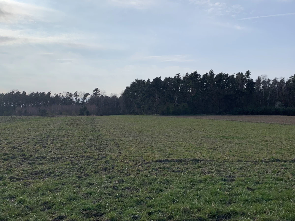 Apartamenty 833960 Pątnów Legnicki