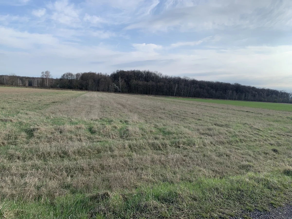 833960 - zdjęcie nr 4