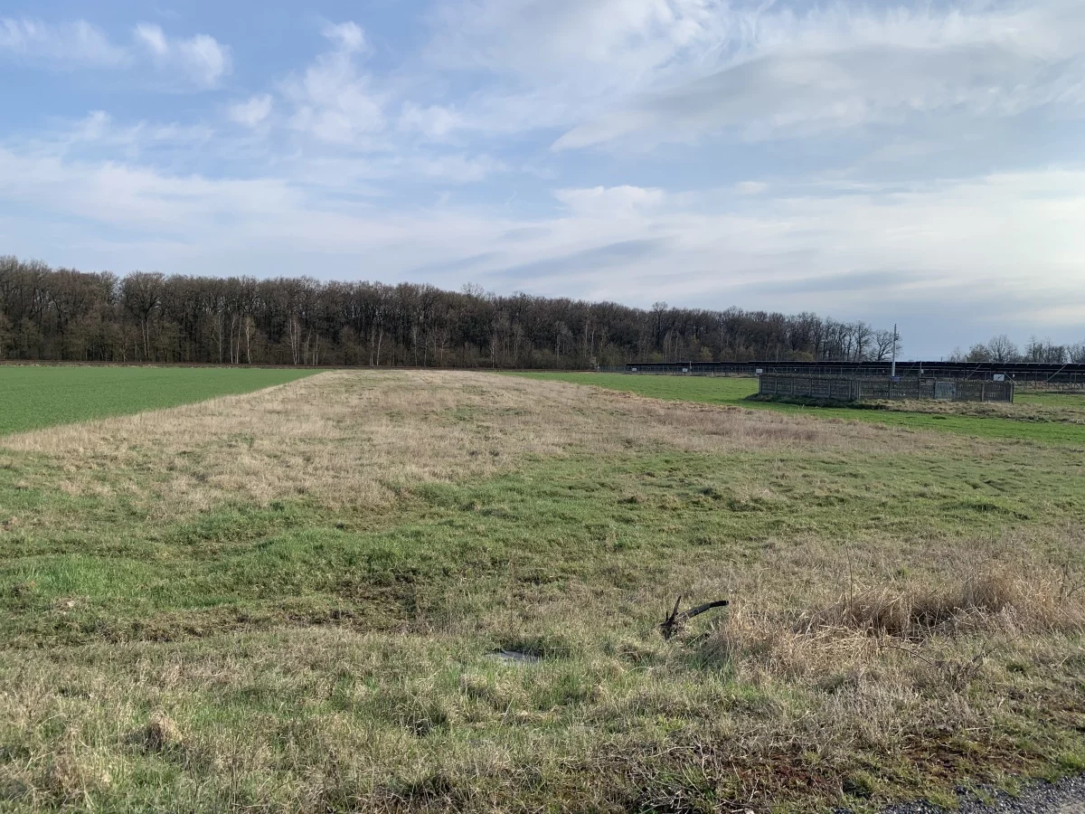 Działka 48 209,00 m², oferta nr , 833960, Pątnów Legnicki