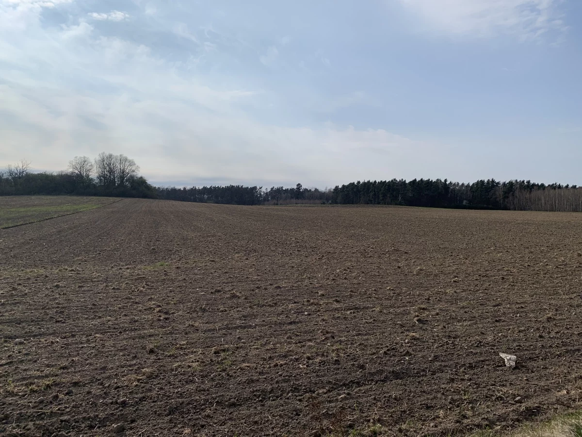 Działka 48 209,00 m², oferta nr , 833960, Pątnów Legnicki