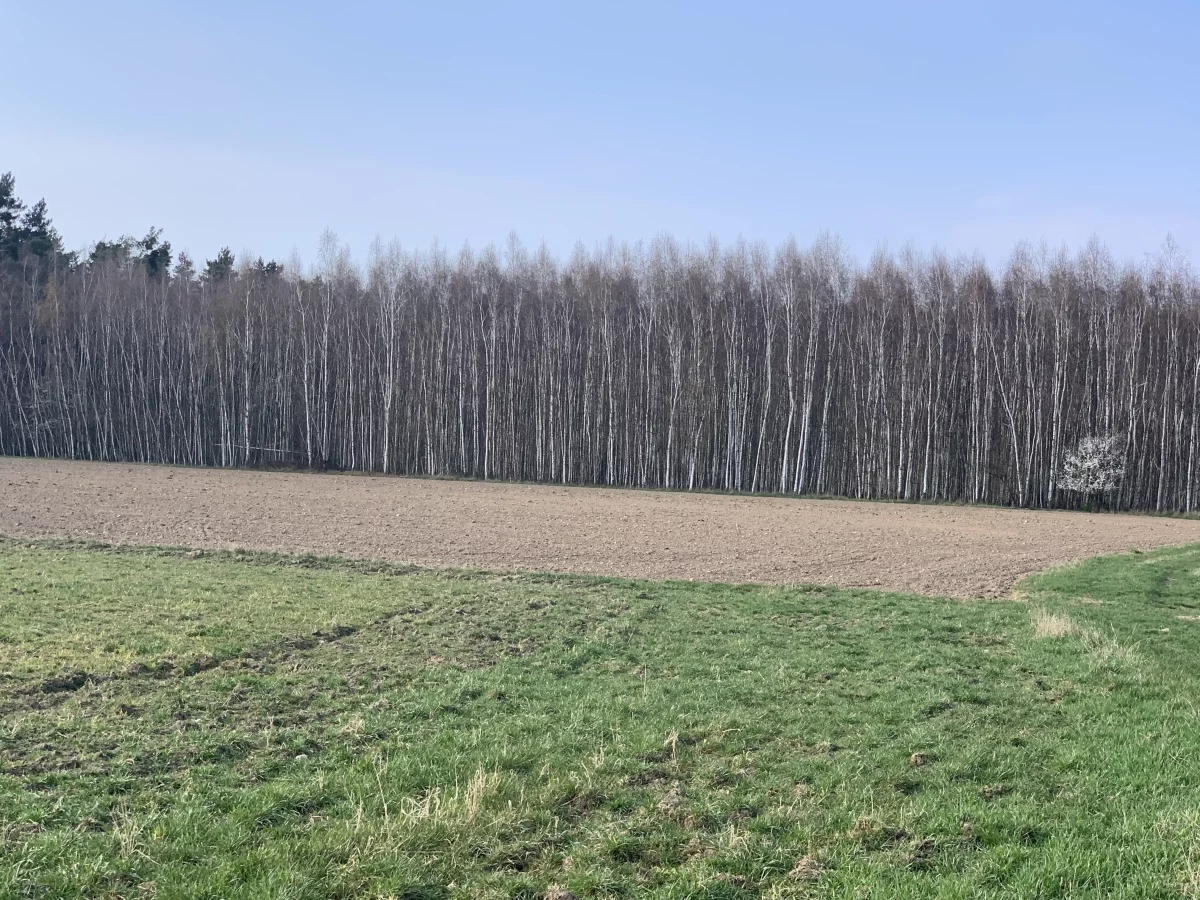 Działka 48 209,00 m², oferta nr , 833960, Pątnów Legnicki