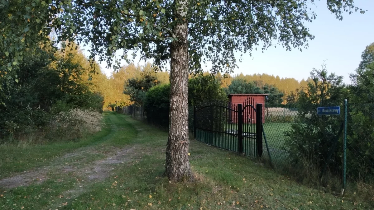 Działka 10 100,00 m², oferta nr , 834326, Pelagia