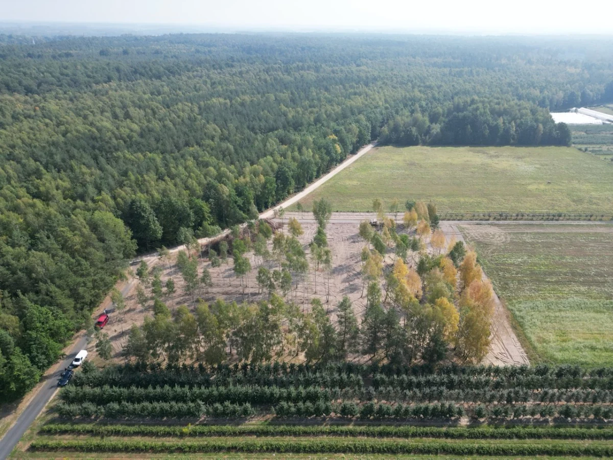 Działka 1 073,00 m², oferta nr , 833849, Piaseczno