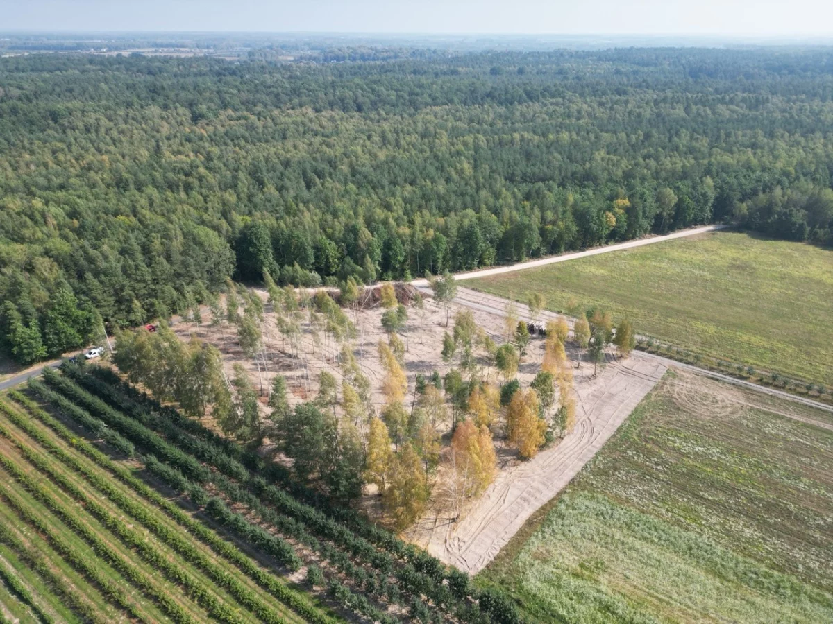 Działka 1 073,00 m², oferta nr , 833849, Piaseczno