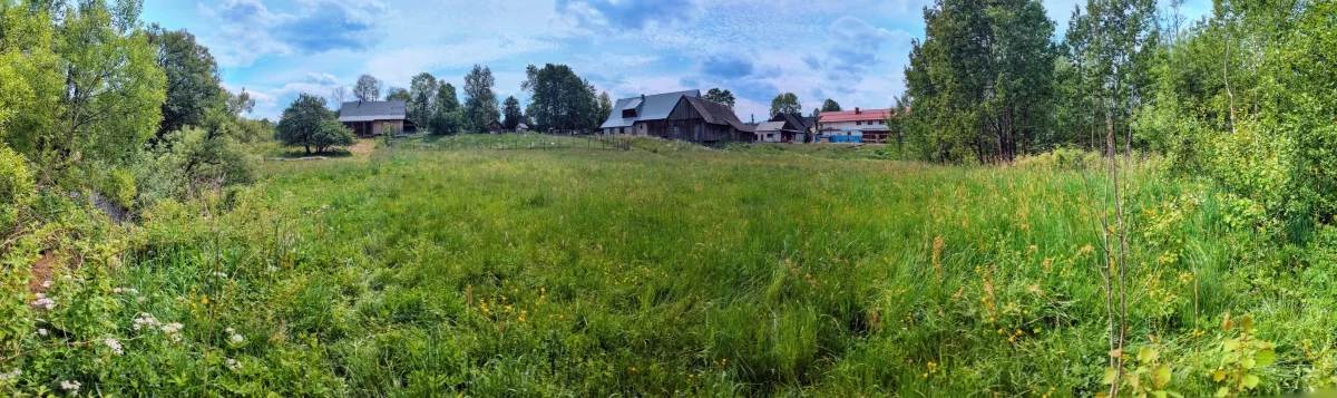 833245 - zdjęcie nr 0