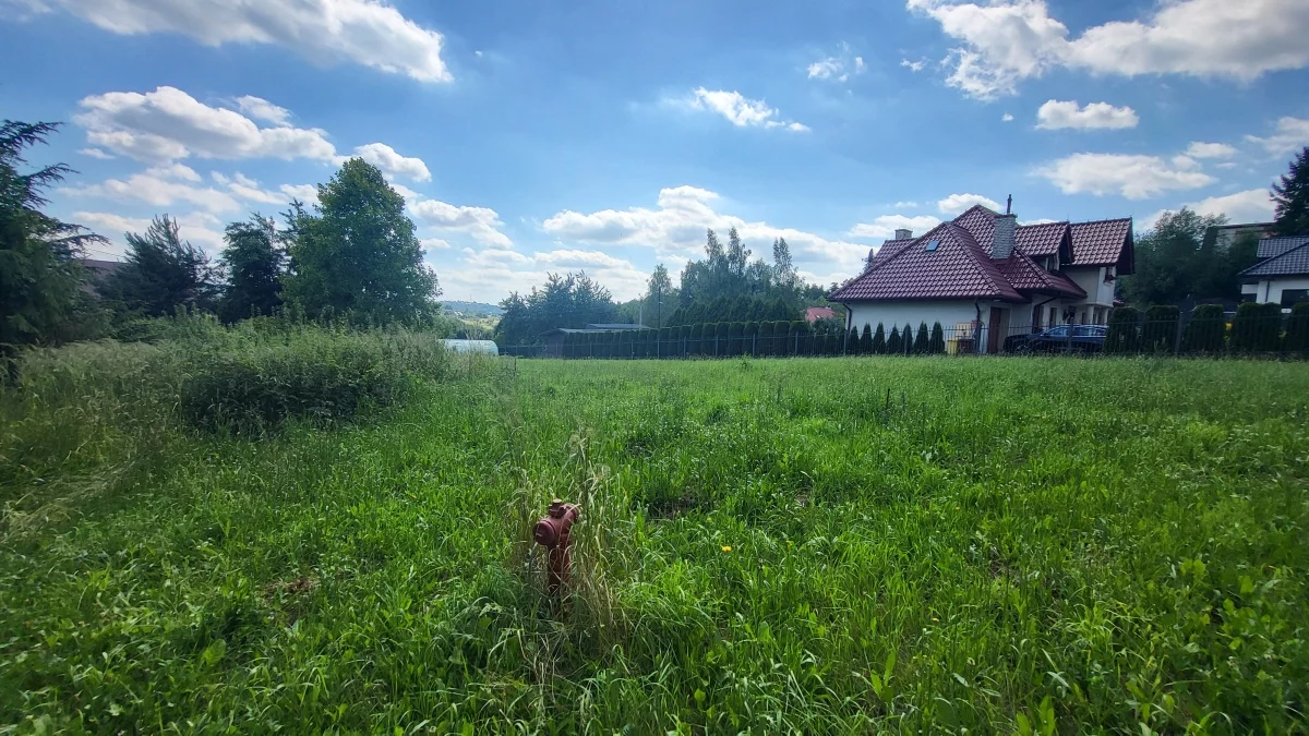 833221 - zdjęcie nr 0
