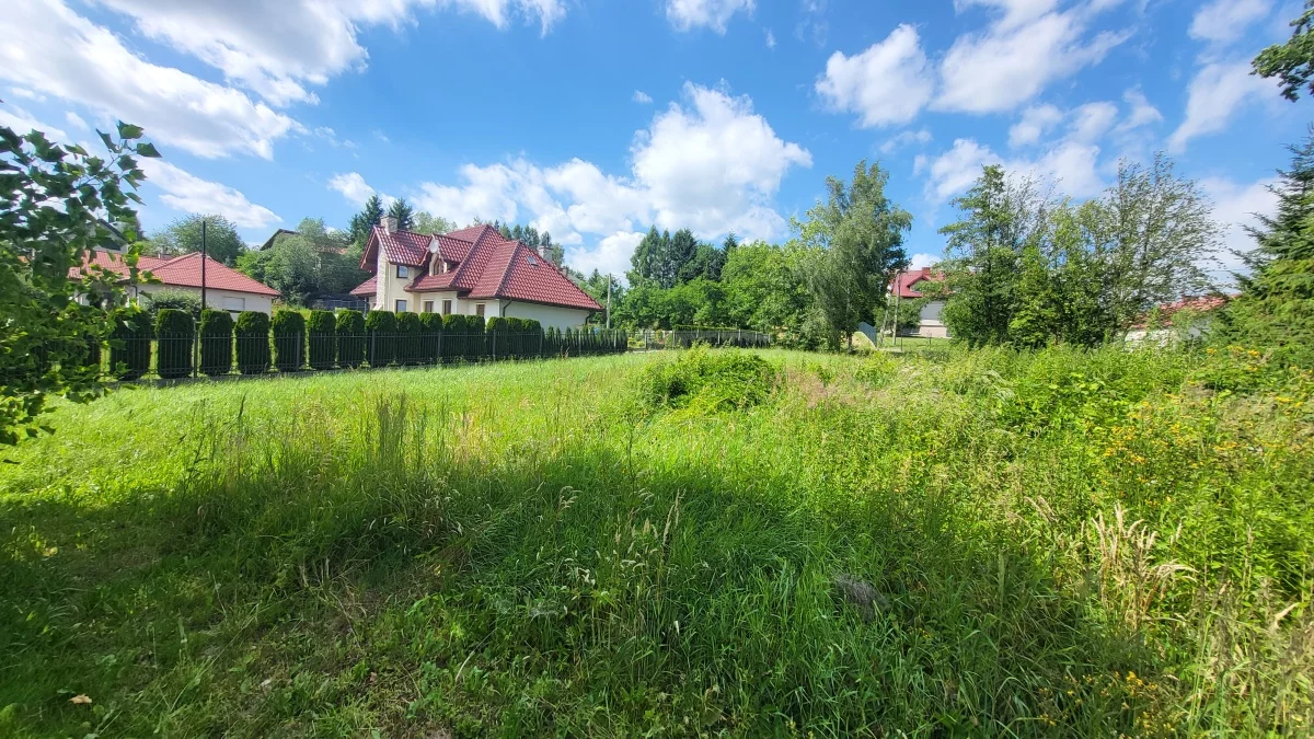833221 - zdjęcie nr 3