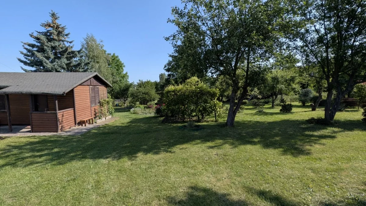 833198 - zdjęcie nr 0