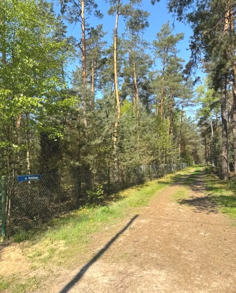 832215 - zdjęcie nr 0